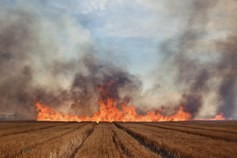 WHEAT STUBBLE FIRE, EASTERN COLORADO