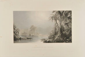 A Morning in the Tropics