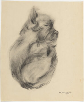 Curled Up Dog
