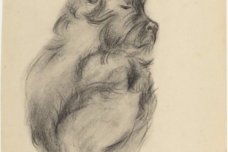 CURLED UP DOG