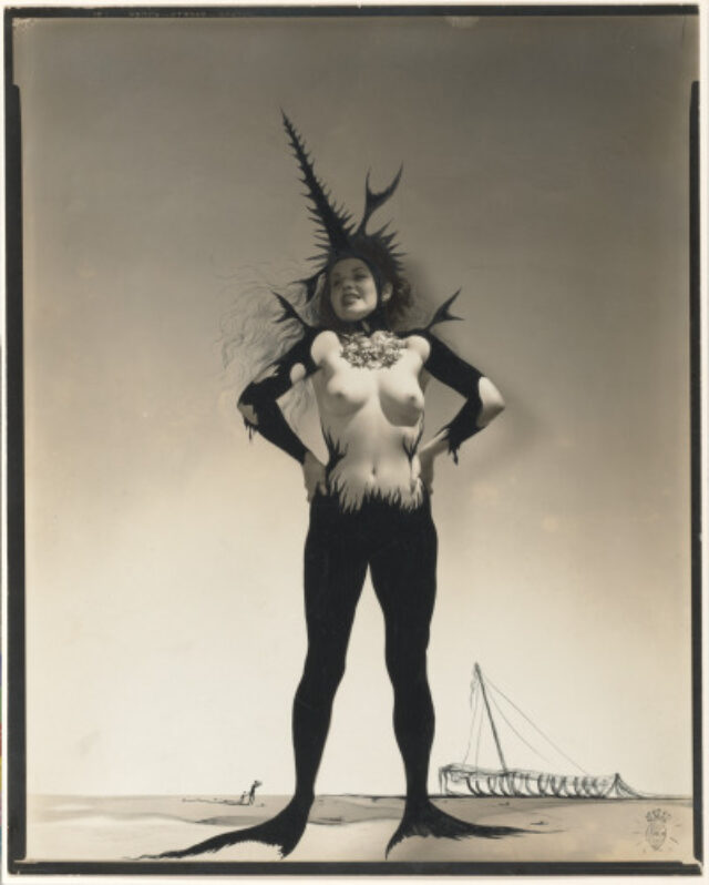 Study for “Dream of Venus”