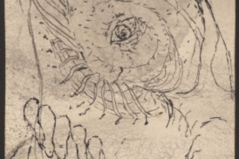 THE EYE