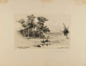 Red Beach, Naushon, Mass.