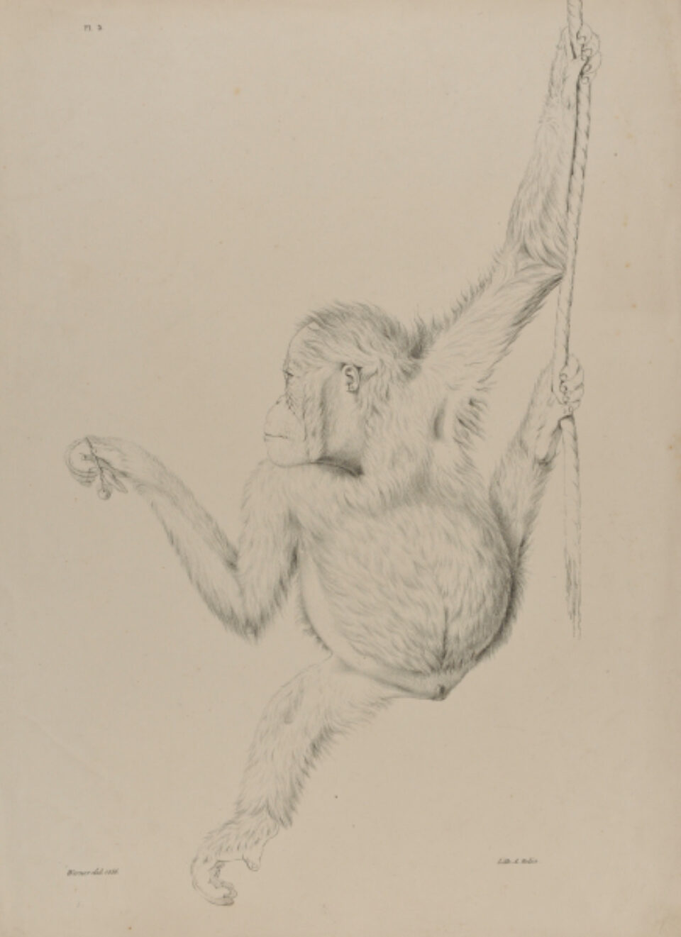 Jacques Christophe Werner