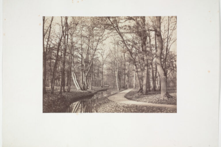 BOIS DE BOULOGNE