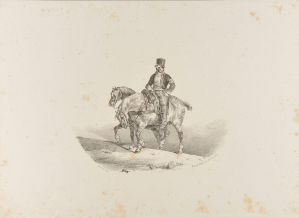 Les Deux chevaux harnachés