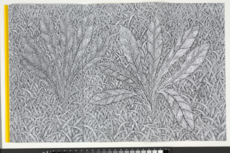 TEMPLATES FOR LIMITLESS FIELDS OF GRASS