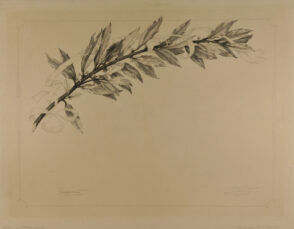 Diplôme de la Société des artistes français