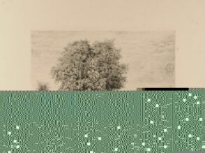 Les Ormeaux de Cénon