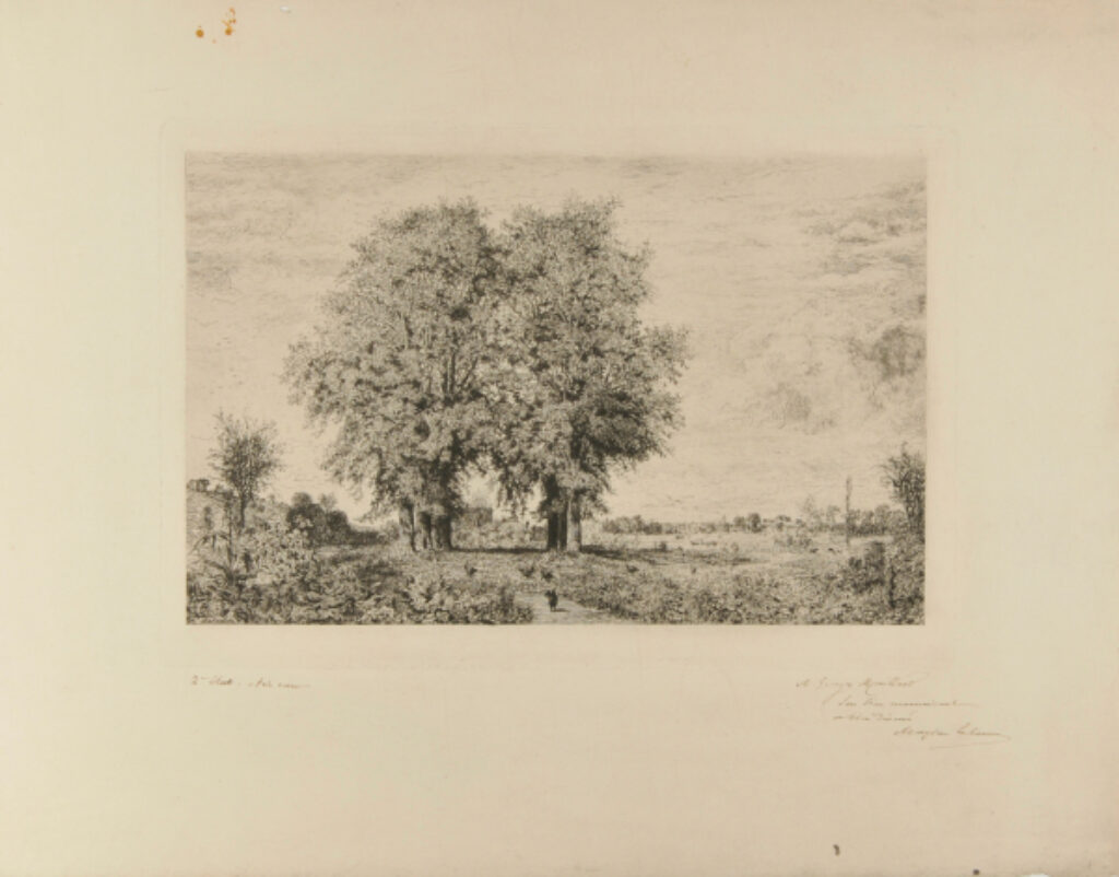 Les Ormeaux de Cénon