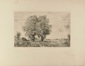 Les Ormeaux de Cénon