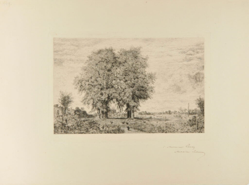 Les Ormeaux de Cénon