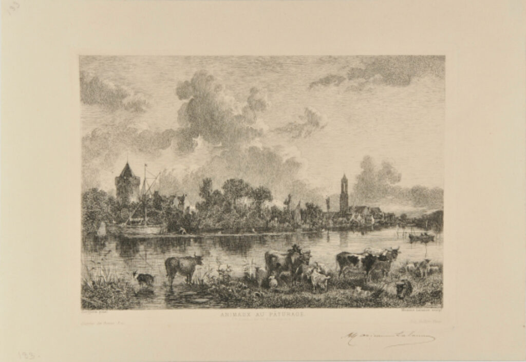 Animaux au pâturage