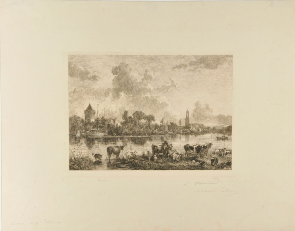 Animaux au pâturage