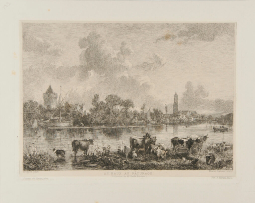 Animaux au pâturage