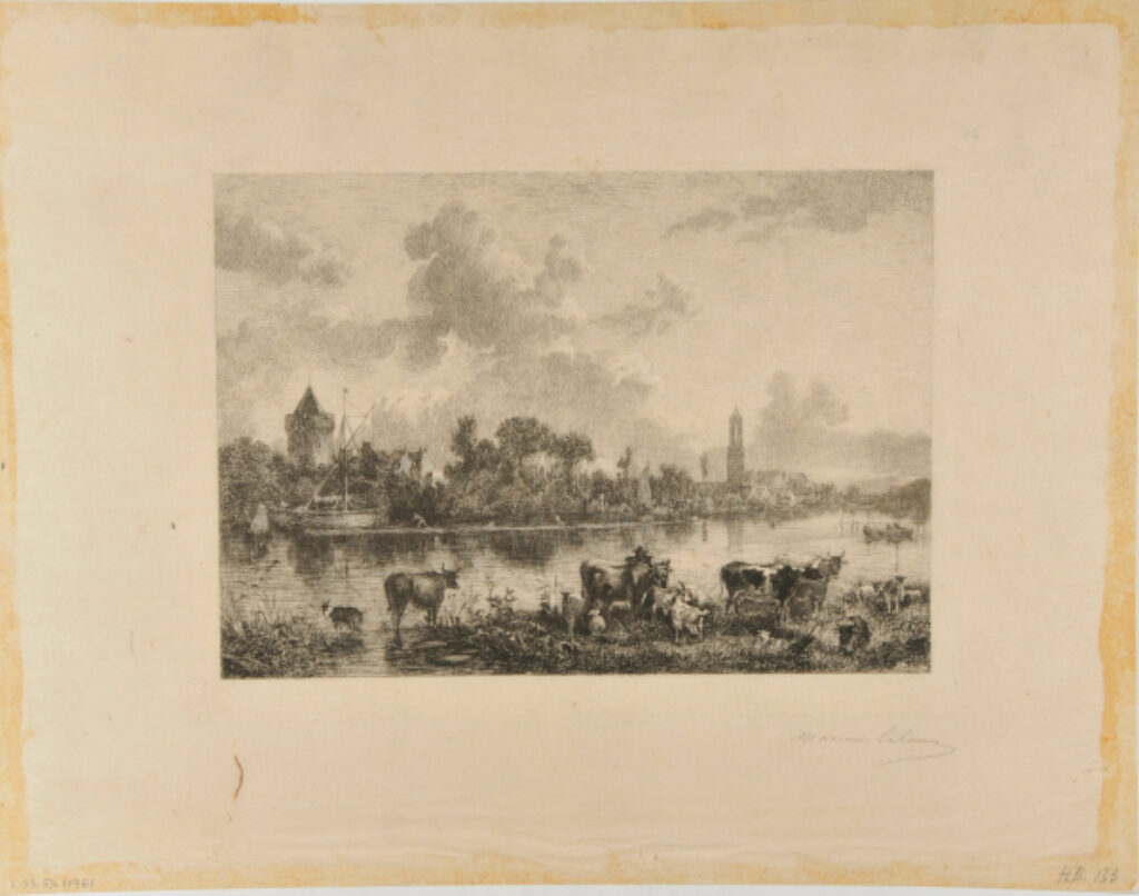 Animaux au pâturage