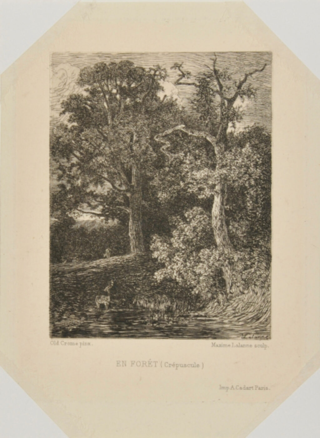 En forêt (crépuscule)