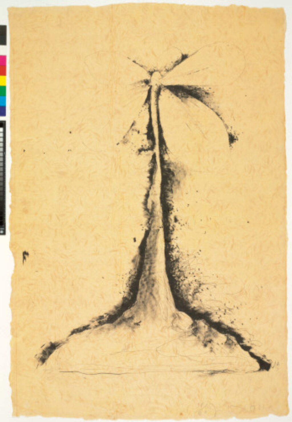 From the series “Lithographs of the Sculpture: The Plant Becomes a Fan”