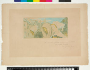 Trois femmes en coiffe