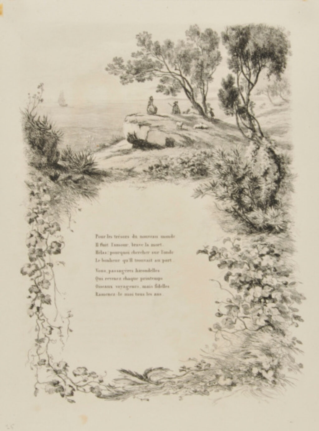 Le Rosier (1er planche)