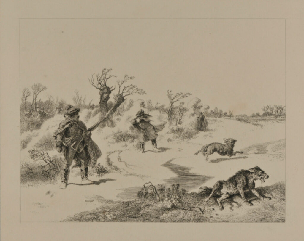 Battue aux loups (Hongrie)