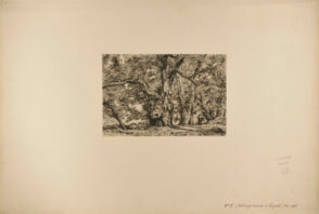 Châtaigneraie à Royat