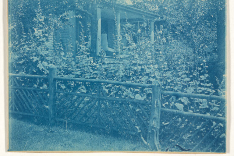 GARDEN, DOW'S HOME, IPSWICH