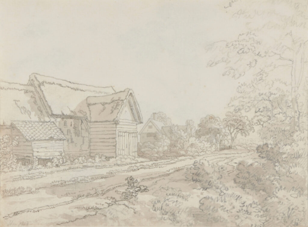 Hampstead (recto); Foliage (verso) - Image 2