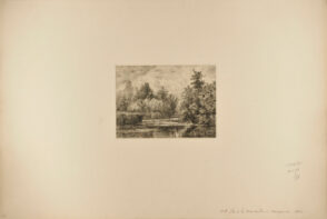 Île Amère in Montgeron