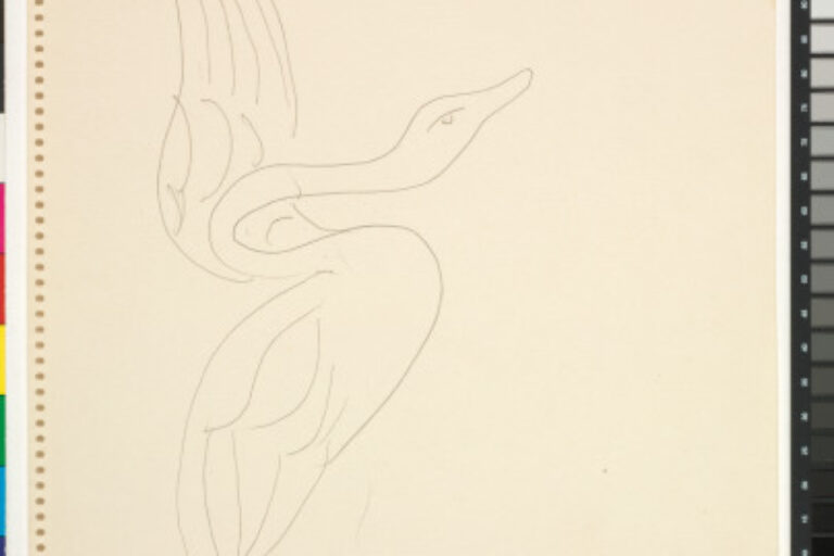 THE SWAN (STUDY)