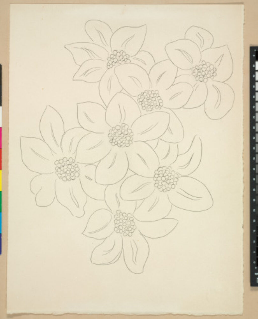 The Flowers (published state)