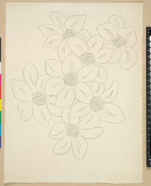 The Flowers (published state)