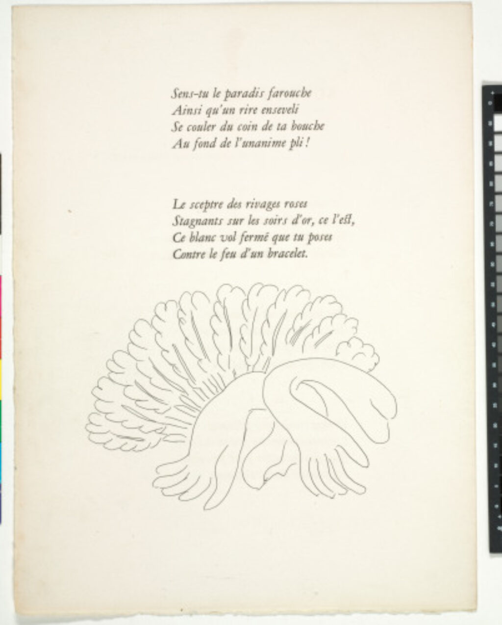 Untitled (fan and gloves, published state on page proof)