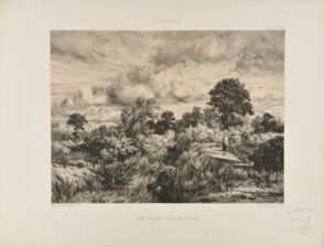 Une Rigole (Forêt de Sénart)