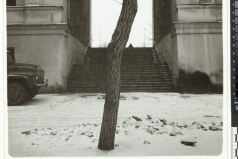 IN THE COURTYARD