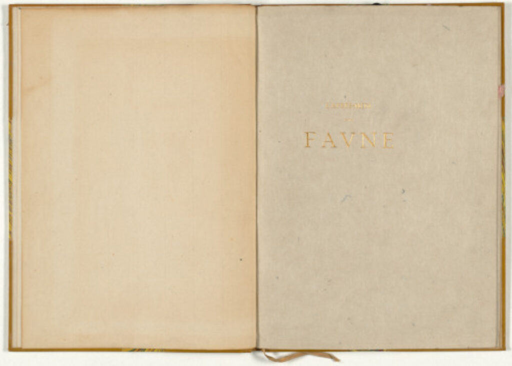 L’Après-Midi d’un Faune - Image 15