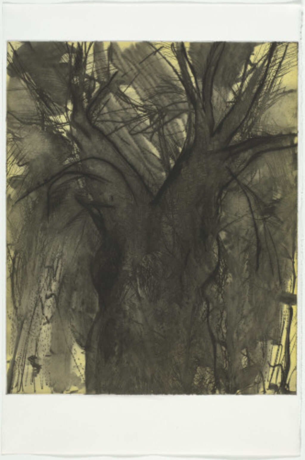 Desire in Primary Colors - Image 3