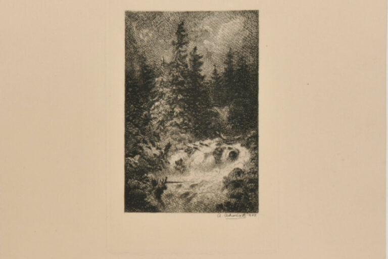 EVERGREEN TREE
