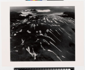 Birdlime and Surf, Point Lobos, California