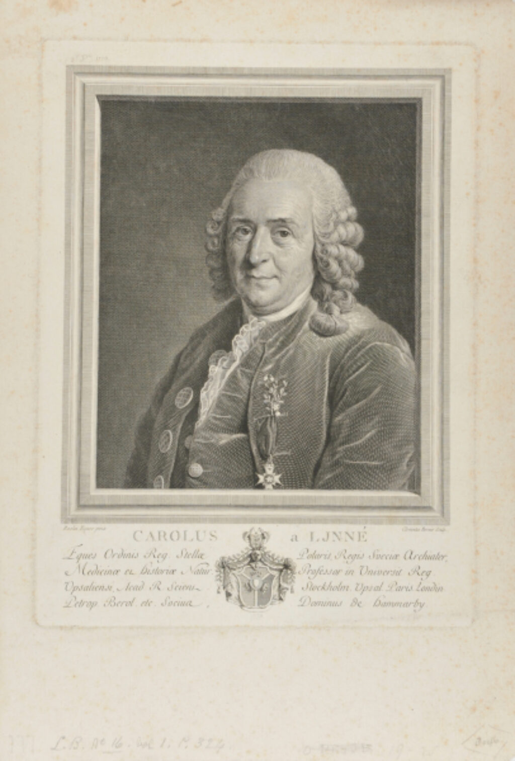 Portait of Carl Linnaeus - Image 2