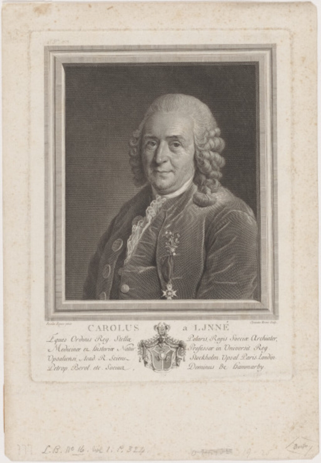 Portait of Carl Linnaeus - Image 1
