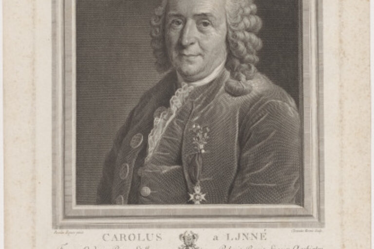 PORTAIT OF CARL LINNAEUS