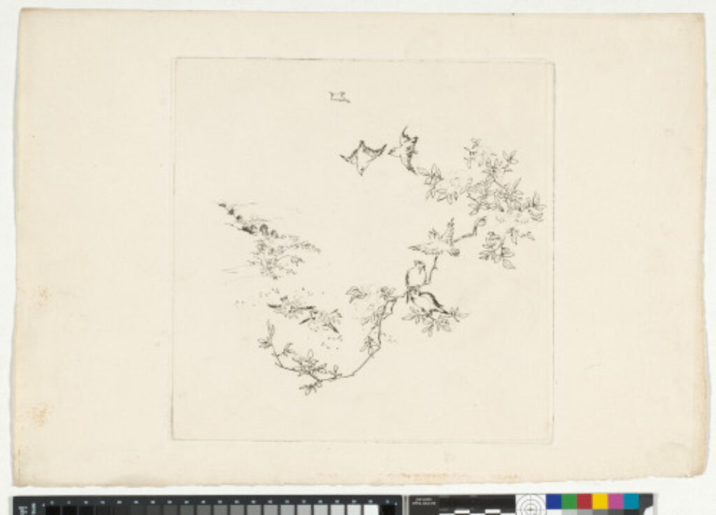 Soleil levant - Image 3