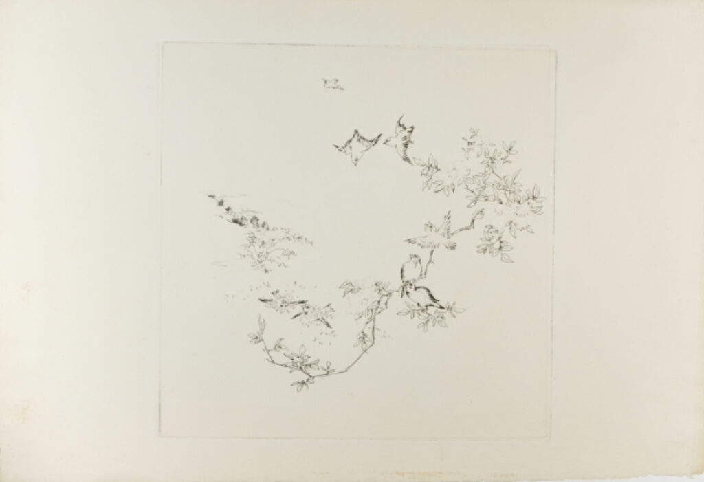 Soleil levant - Image 2