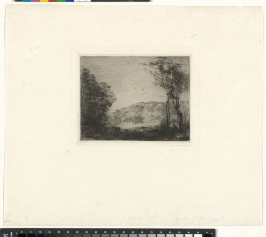 Campagne boisée - Image 2