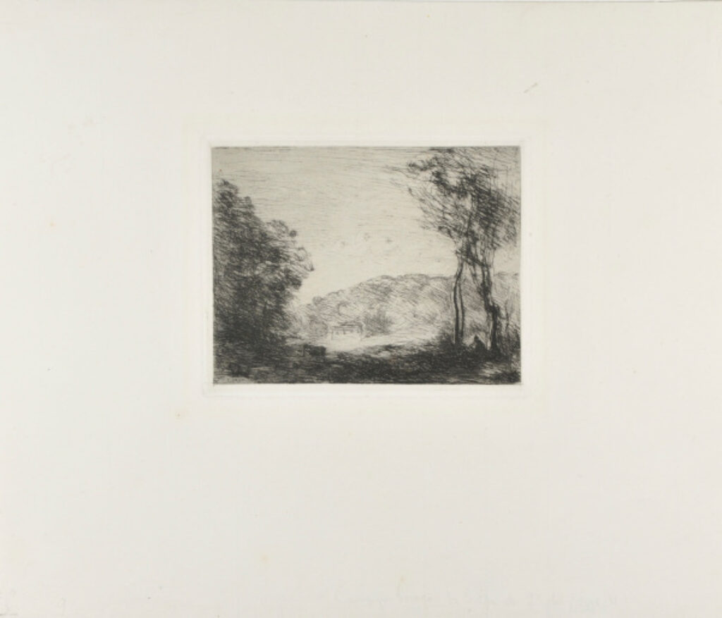 Campagne boisée - Image 3