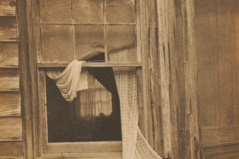 OPEN WINDOW - HONEY HOUSE
