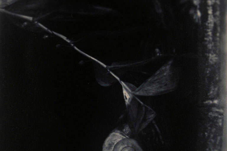 ROMANTIC STILL LIFE 1