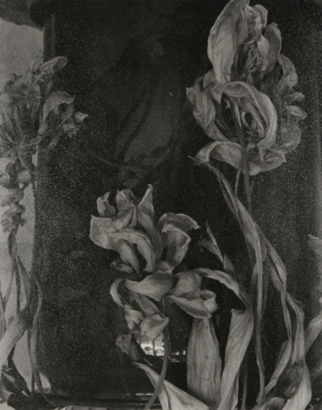 Grave Flowers