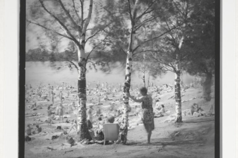 BIRCH TREES, LAKE NEAR OZERKI METRO STATION, ST. PETERSBURG